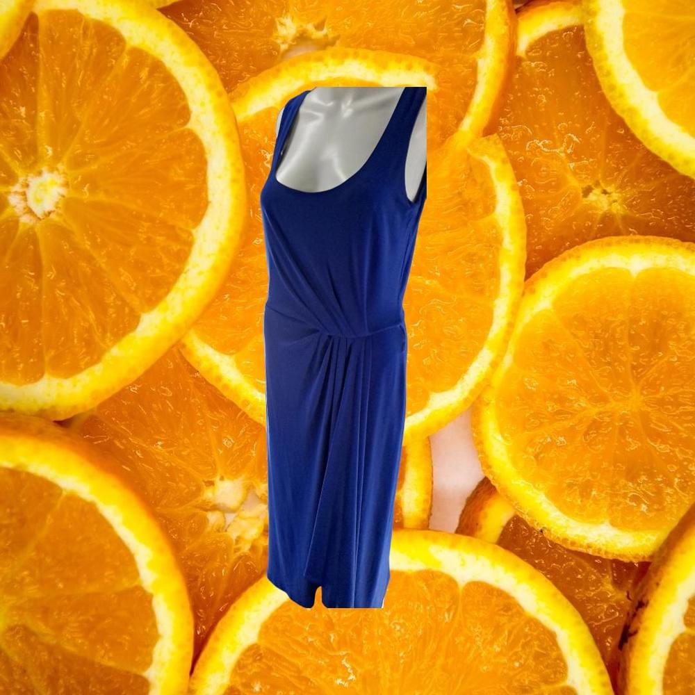 Lauren Ralph Lauren Blue Cinched Sleeveless Dress Size 10
